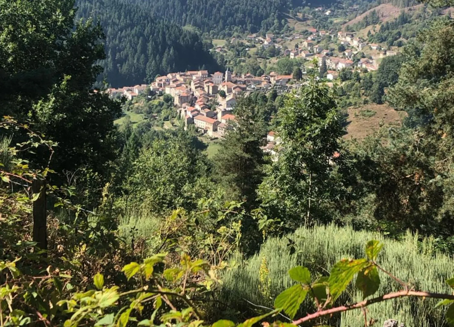 L Ardeche Verte Saint-Martin-de-Valamas 0*,  Frankrig